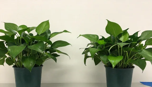 行业资讯推广中信息质量的选型与维护建议